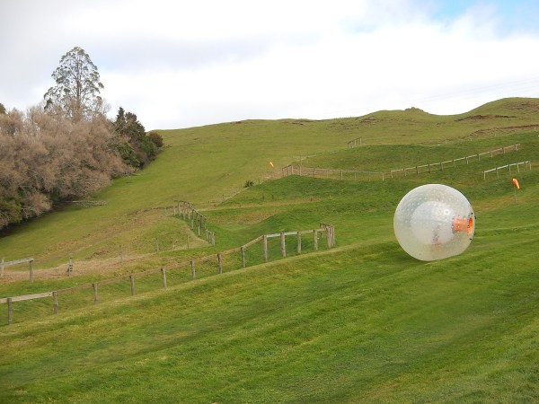 zorb-1532366_1920