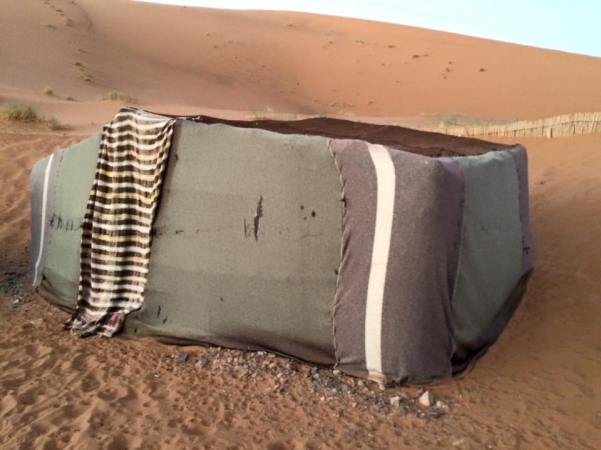 12310452_988618587864854_545520496778157623_n