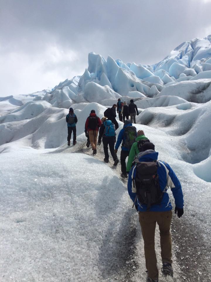 15027709_1834854110091647_2786598726016745399_n